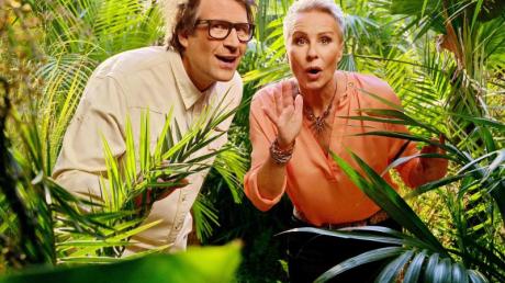 Daniel Hartwich und Sonja Zietlow verkünden, wer aus dem Dschungel fliegt.