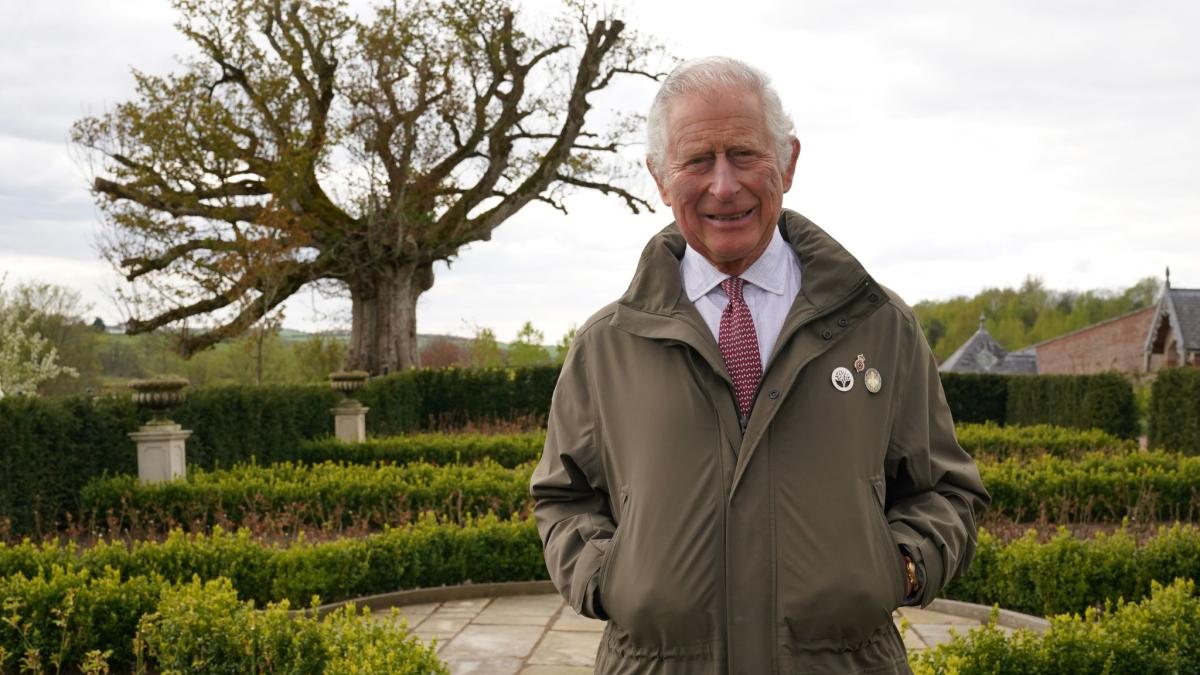 #Britische Royals: Prinz Charles ruft zur Auffrischung alter Wälder auf