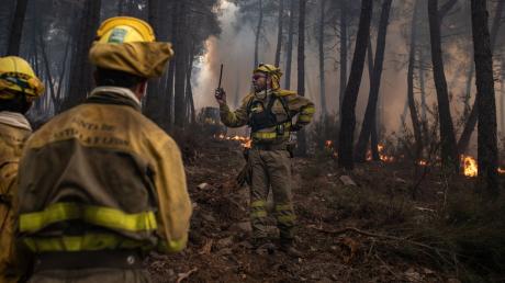 In Spanien hat der erste größere Waldbrand des Jahres knapp 600 Hektar Natur zerstört.