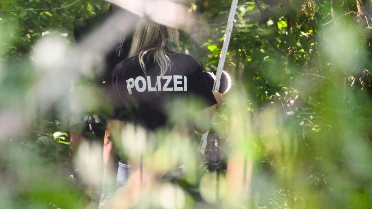 #Kriminalität: Mordfall Salzgitter: 13-Jähriger in Klinik eingewiesen