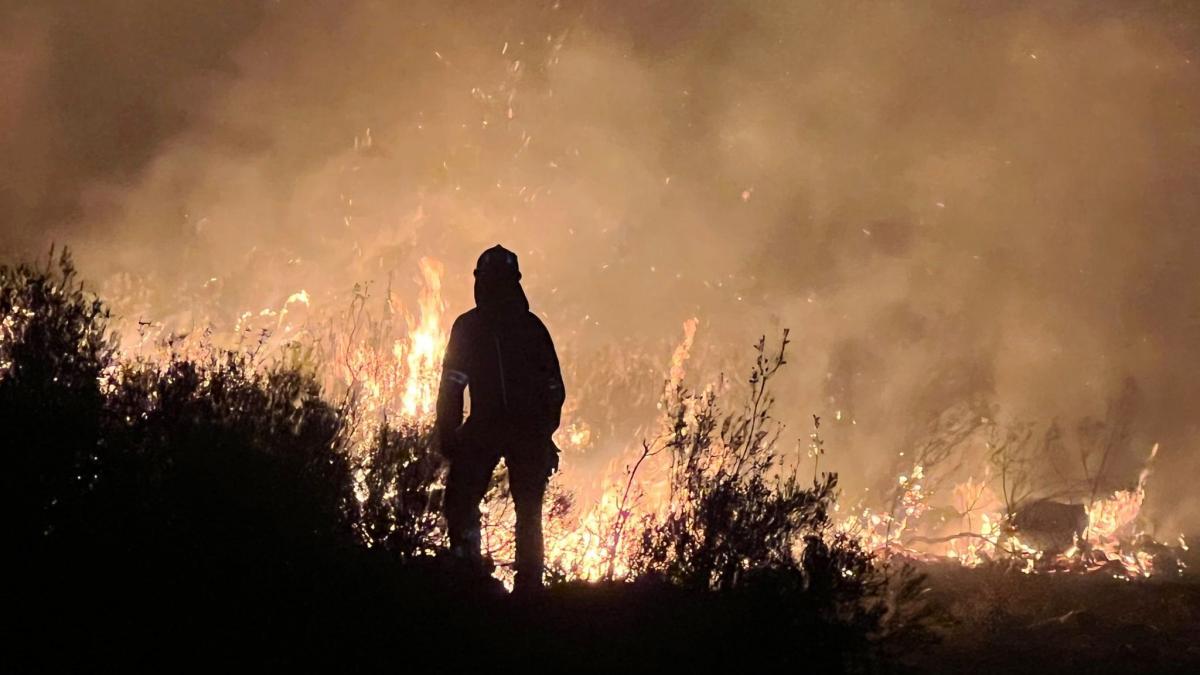 Lesní požáry v Česku dnes: Požár v Saském Švýcarsku
