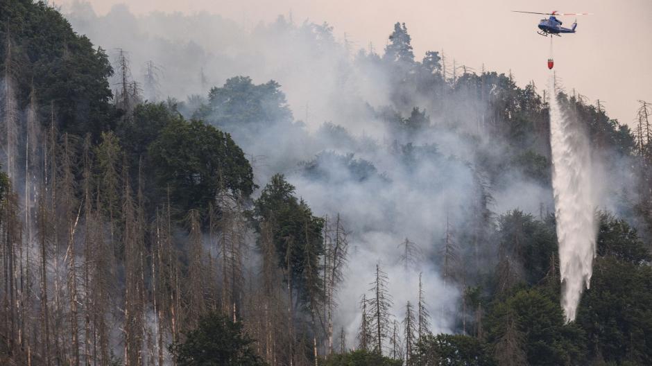 Kampf gegen die Flammen aus der Luft in der Böhmischen Schweiz: Der Waldbrand hat sich mittlerweile auf eine Fläche von fast 1000 Hektar ausgebreitet.