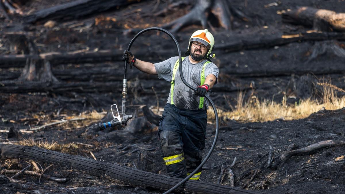 Není vše jasné: Lesní požáry v Sasku dál zuří