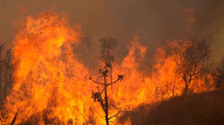 Der Parque Nacional in Brasilia brennt lichterloh.