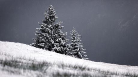 Ab Dienstagabend erwartet der Deutsche Wetterdienst Schnee in Bayern.