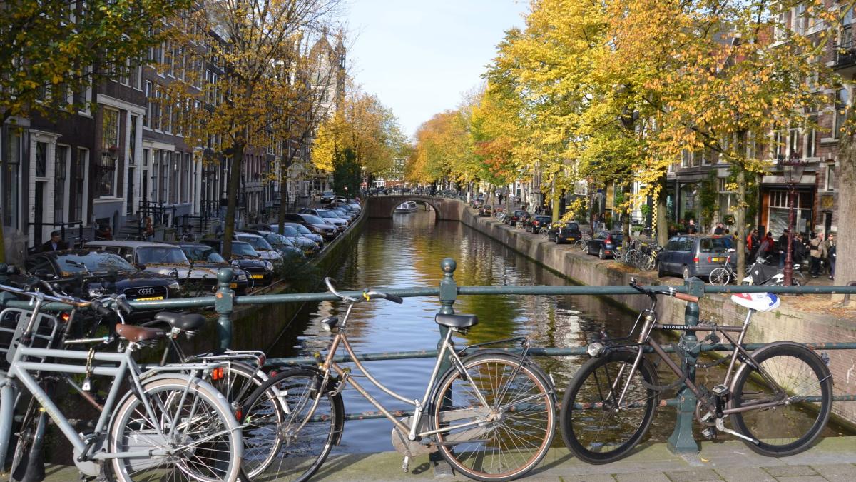 #Kriminalität: Studie aus Amsterdam: Wo landen geklaute Fahrräder?