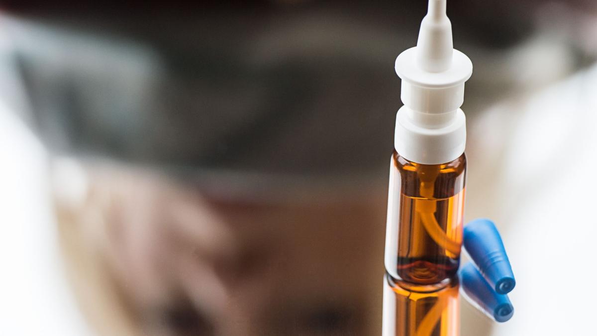 #Forschung: Nasenspray-Impfung gegen Corona: Erfolg an Hamstern