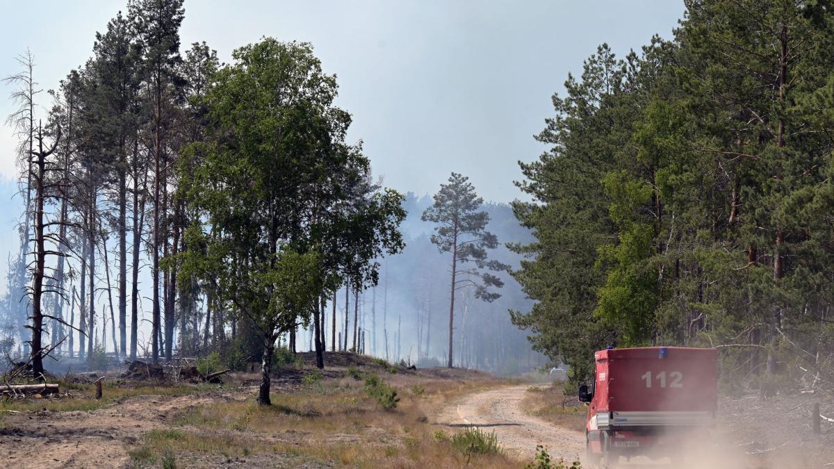 #Kampf gegen Waldbrand auf Ex-Truppenübungsplatz