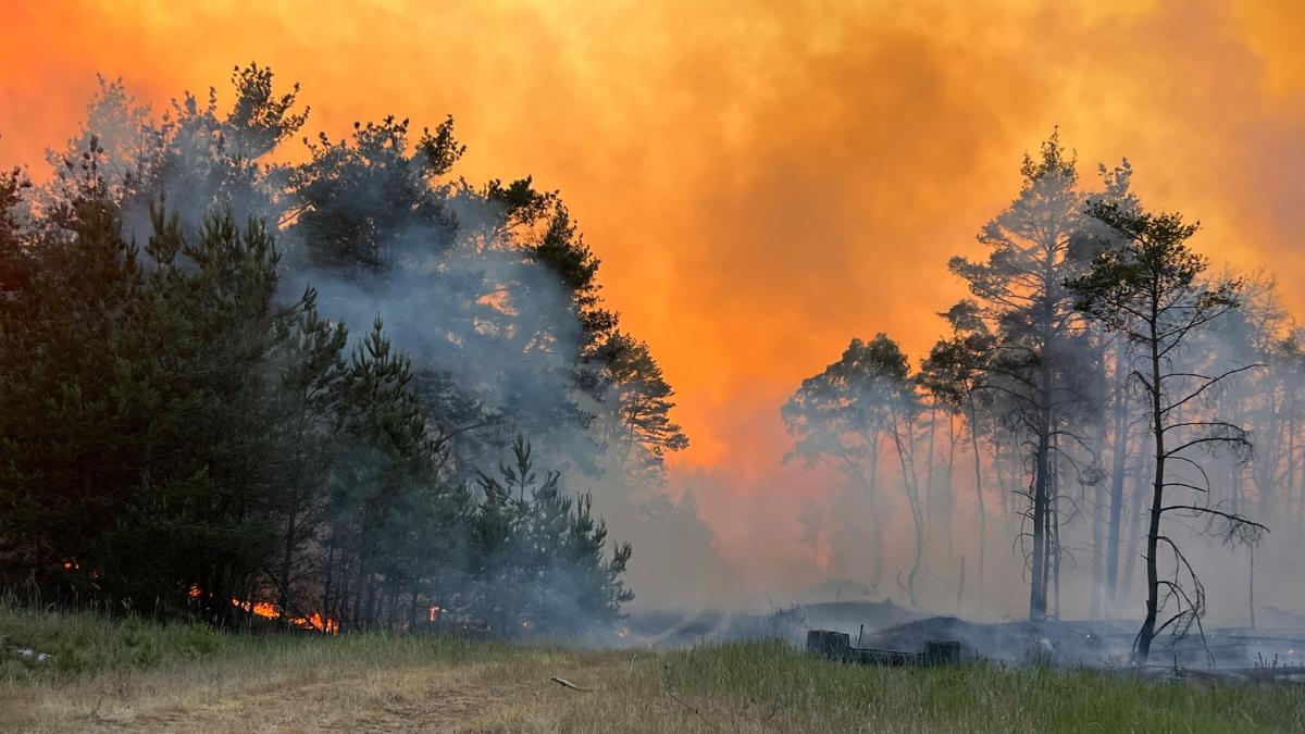 #Feuer bei Lübtheen und Hagenow auf 135 Hektar angewachsen