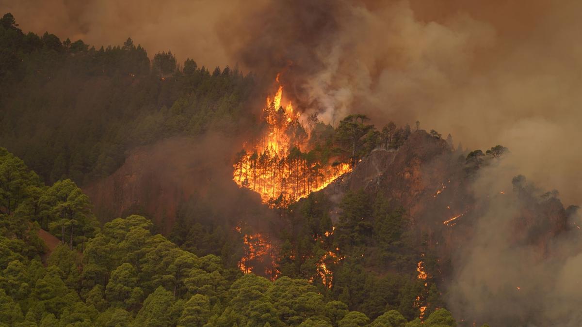#Notfälle: Waldbrand wütet auf Teneriffa