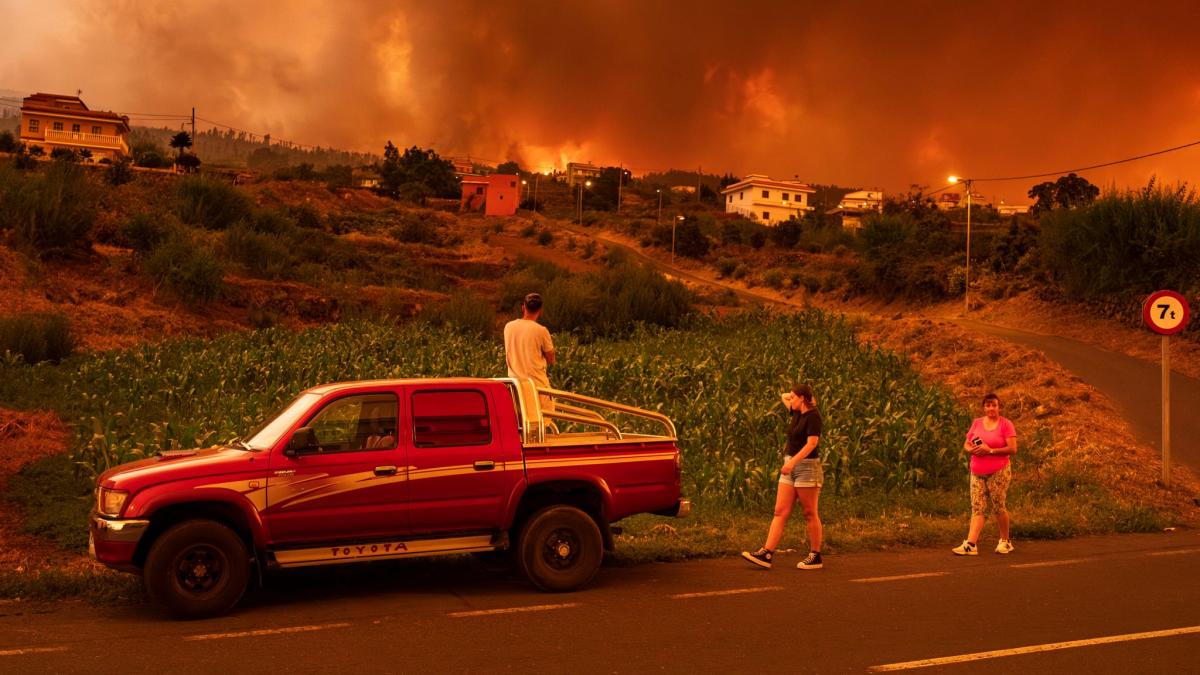 #Teneriffa, Griechenland und Kanada kämpfen gegen Brände