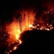 Trockenheit und Hitze: Der Stichtag für das Feuerverbot wurde auf Mallorca wegen Waldbrandgefahr vorverlegt.