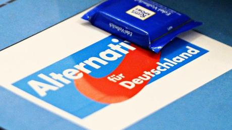 Splitterparteien wie die Anti-Euro-Partei «Alternative für Deutschland» sind zurzeit recht beliebt.
