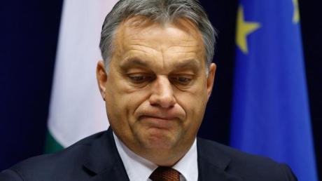Nach massiven Protesten zieht der ungarische Premier Viktor Orban seine geplante Internetsteuer zurück - zumindest vorerst. 