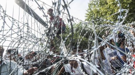 Flüchtlinge versuchen einen Stacheldrahtzaun an der ungarischen Grenze zu überwinden. Archivbild