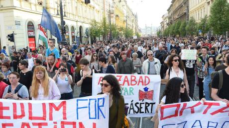 In Budapest gab es Demos für den Erhalt der Elite-Uni. 