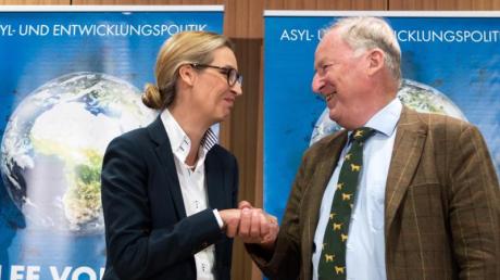 Das AfD-Doppel: Alice Weidel, 38, und Alexander Gauland, 76, haben es geschafft, die Schlagzeilen zu beherrschen. Ihre Partei wird voraussichtlich in den Bundestag einziehen.