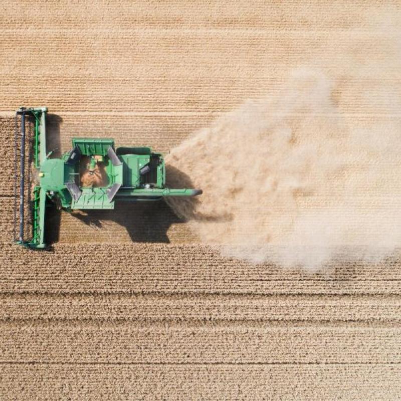 Mähdrescher bei der Ernte eines Weizenfeldes. Nach den Grünen fordert auch die SPD eine grundlegende Reform der milliardenschweren EU-Agrarsubventionen.