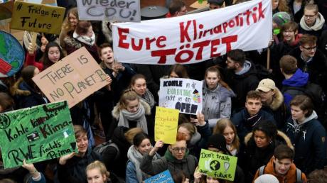 «Fridays for Future»-Protest in Elmshorn.