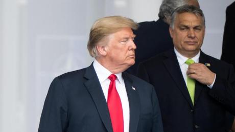 Donald Trump und Viktor Orban stellen sich zu einem Fototermin beim Nato-Gipfel auf.