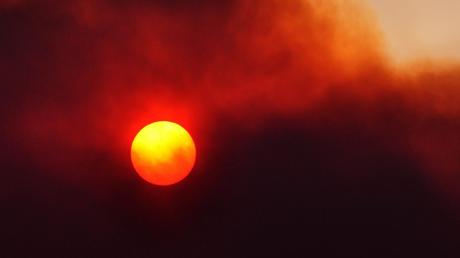 Buschbrände verdunkeln die Sonne über Australien: Erderwärmung ähnlich große Bedrohung wie ein Atomkrieg?