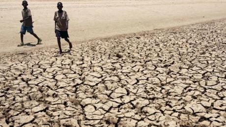 Der Klimawandel ist endgültig da - und wird Dürren und Hungersnöte auslösen. 