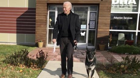 Joe Biden mit seinem Deutschen Schäferhund "Major".