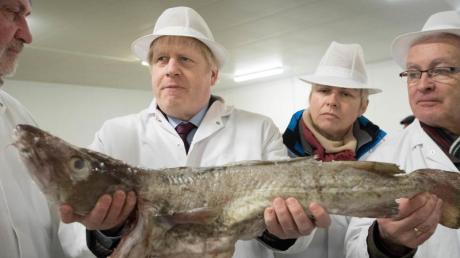 Boris Johnson (Zweiter von links) bei einem Wahlkampf-Besuch auf dem Grimsby Fish Market. Fischer werfen dem britischen Premier vor, es gebe "eine beträchtliche Anzahl" von ihnen, denen es deutlich schlechter gehe als vor dem Deal.