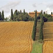 In der toskanischen Kleinstadt Poggibonsi in der Provinz Siena wurde am Dienstag ein Erdbeben registriert.