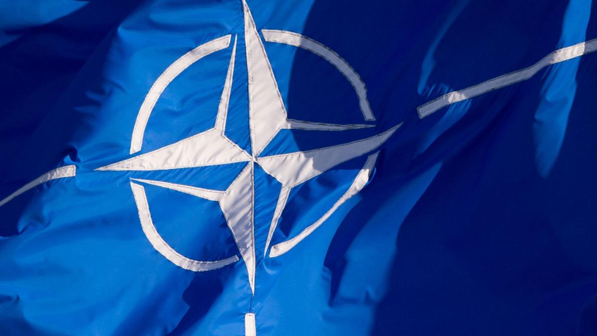 #Waffenlieferungen: Nato-Staaten: Durch Absprachen Krieg mit Russland verhindern