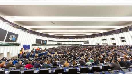 Das Europäische Parlament in Straßburg: «Die Abgeordneten nehmen die Erklärungen nicht ernst», so  Transparency International.
