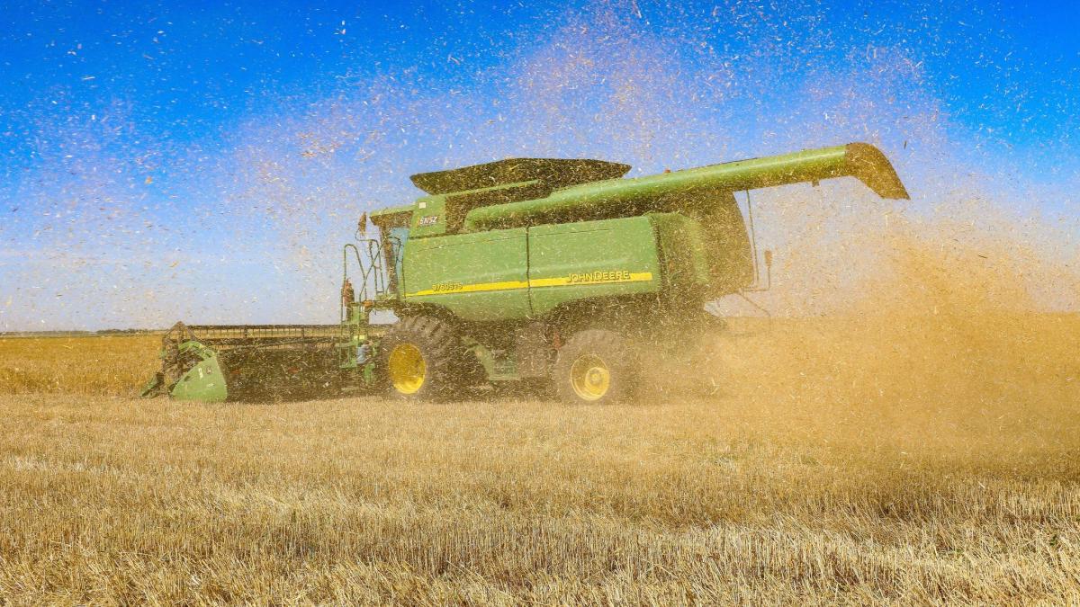 #Ernährung: Ukrainisches Getreide: Selenskyj kritisiert EU-Importverbot