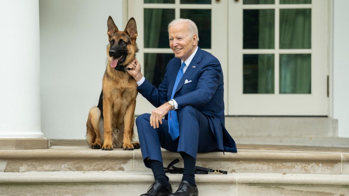 #Staatsoberhaupt: Bisse im Weißen Haus: Biden hat ein Hunde-Problem