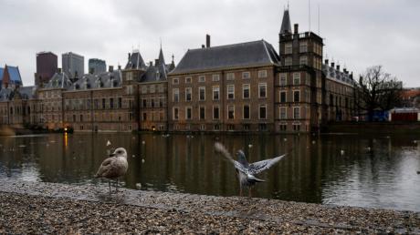 Das niederländischen Parlament in Den Haag. Laut der Untersuchungskommission wurden mit den Regeln gegen Sozialhilfebetrug von Abgeordneten schlechte Gesetze verabschiedet und von Gerichten nicht der Rechtsschutz der Bürger gewahrt.