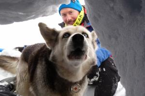 Zwei bis drei Jahre dauert es, bis ein Tier als Lawinenhund voll ausgebildet ist: Hundeführer Christian Endras von der Bergwacht Nesselwang mit Husky "Balto".