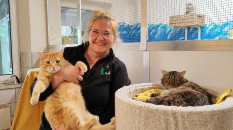 Melanie Kühn ist die Leiterin des Tierheims Beckstetten und wünscht sich für ihre derzeit rund 80 Katzen für die Zeit bis zum neuen Zuhause Ehrenamtliche, die zum Streicheln und Spielen vorbeikommen.