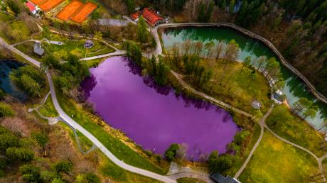 Der lila gefärbte Gipsbruchweiher in Bad Faulenbach sorgt noch immer für großes Aufsehen.