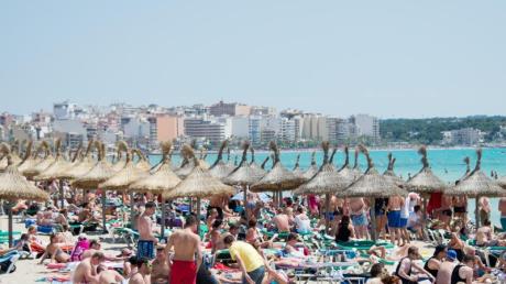 Wie die Sardinen tummeln sich dicht gedrängt Menschen am Strand von Arenal auf Mallorca. Die Insel verzeichnete im Juli einen Besucher-Rekord von 1,84 Millionen Urlaubern.