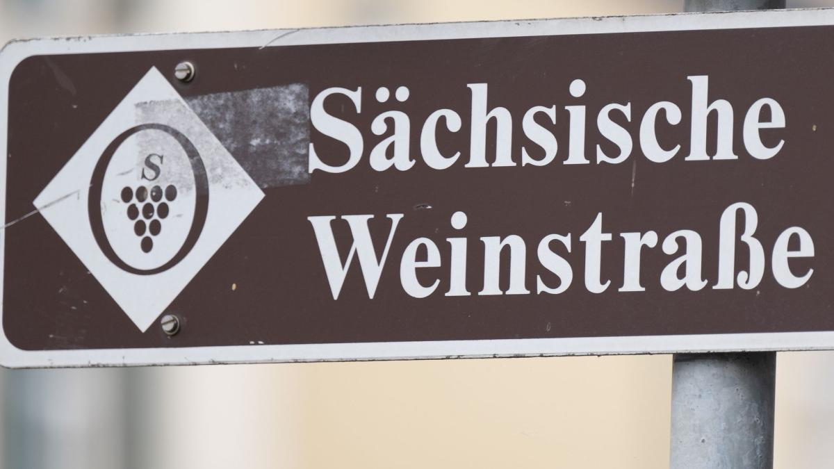 #30-jähriges Bestehen: Sächsische Weinstraße: Weingüter öffnen wieder ihre Tore