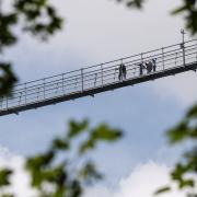 In bis zu 100 Meter Höhe führt die Hängebrücke in Willingen übers Tal. Der Skywalk Willigen ist die längste Fußgänger-Hängebrücke Deutschlands.