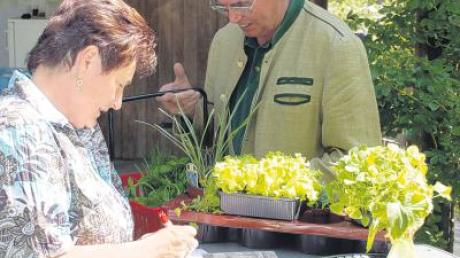 Viele Hobbygärtner deckten sich mit Gemüse- und Kräuterpflanzen für die beginnende Gartensaison ein.  