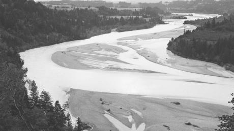 Den Lech südlich von Schongau, mit den für einen alpinen Wildfluss typischen breiten Kiesbänken, fotografierte Dr. Heinz Fischer im Juli 1942 (Bild oben). Inzwischen ist der Lech (nicht nur dort) zu einem breiten Stausee geworden (Bild unten). Dr. Eberhard Pfeuffer fotografierte ihn vor einigen Monaten aus gleicher Perspektive. 