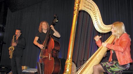 Musikalische Kapriolen schlugen Mula Francel am Saxofon, D.D. Lowka am Kontrabass und Evelyn Huber an der Harfe (von links). Die Formation komplettierte Andreas Hinterseher am Akkordeon. 