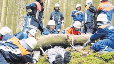 Auch im Wald wurde geübt: Bei einem Forstunfall soll ein Arbeiter unter einem Baum eingeklemmt sein. Er wird mit Hebekissen befreit. 