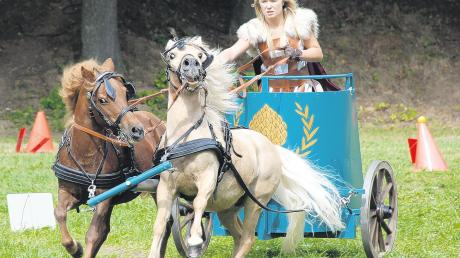 Tagessieger in der Kategorie Ponys und Kleinpferde zweispännig wurde Franceska Bosch aus Königsbrunn.