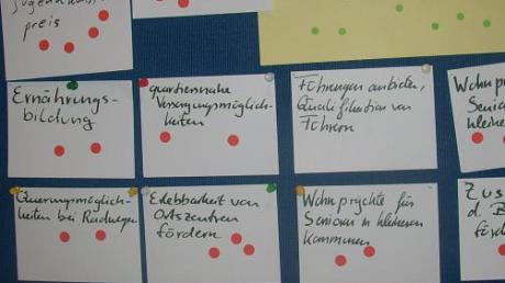 So sieht die Tafel mit den Vorschlägen aus – besonders viele Punkte erhielt das Projekt Jugendfestival (oben links).
