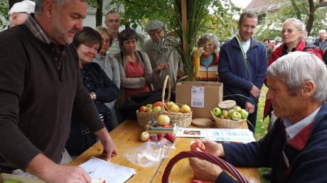 Die Gäste waren beeindruckt vom Fachwissen des Obstbaufachmanns Anton Klaus. 
