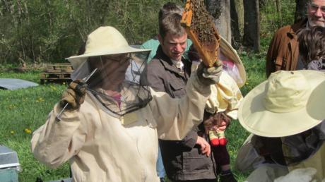 In die Wunderwelt der Bienen tauchten 18 Erwachsene und sieben Kinder in Großaitingen ein. Die Hobbyimkerin Brigitte Tröndle leitete die Veranstaltung des Landschaftspflegeverbandes Landkreis Augsburg. 