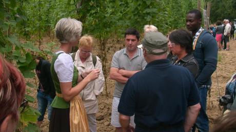 Elisabeth Stiglmaier informierte die französischen Besucher anschaulich vor Ort über den Hopfenanbau. 	