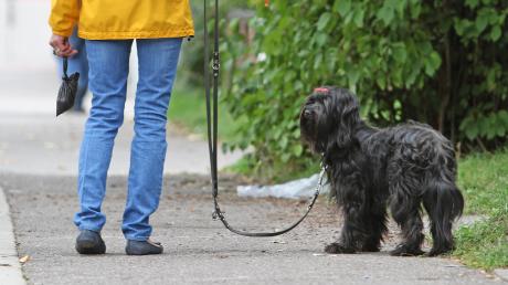 Die Gemeinde Scherstetten hat die Steuersätze für Hunde angepasst. Hundebesitzer zahlen nun 50 Euro im Jahr für den ersten Hund.